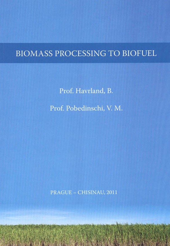 BIOmass Processing to Biofuel