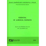 Essential of Juridical Sciences
